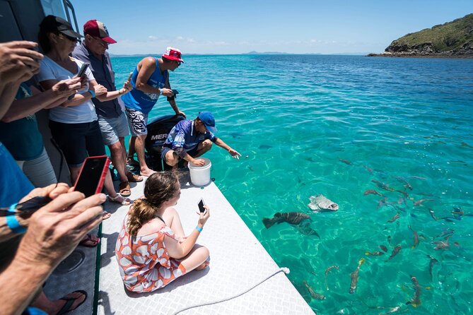Great Keppel Island Glass Bottom Boat Tour & Ferry Transfer - From Rosslyn Bay to Great Keppel: the Ferry Part Matters