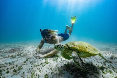 Great Keppel Island Glass Bottom Boat Tour & Ferry Transfer - The Glass-Bottom Boat: Reef Viewing Without the Getting-Wet Hassle