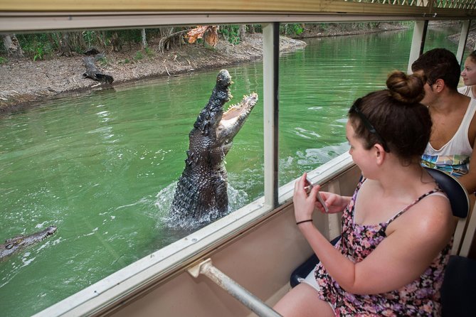 Great Keppel Island Glass Bottom Boat Tour & Ferry Transfer - Who Should Book This Great Keppel Island Trip