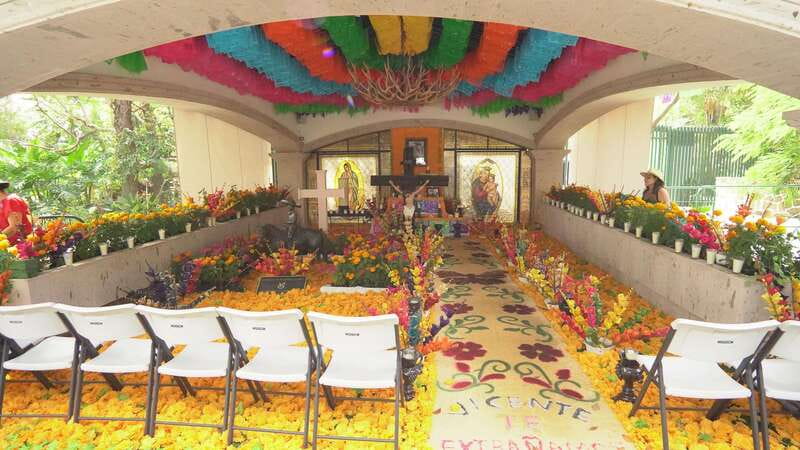 Guadalajara: Lake Chapala and Ajijic Day Trip with Boat Trip - Key moments that make this day trip worth it