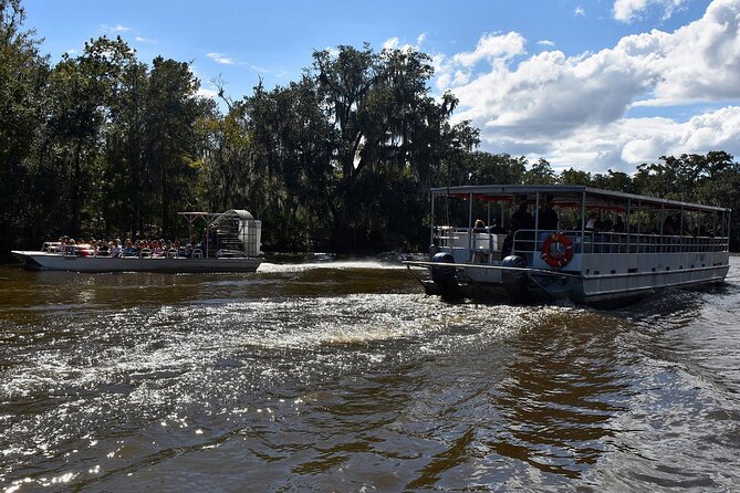 Guided Boat Tour of New Orleans Bayou - What You’ll Really See: Wildlife Patterns You Can Understand