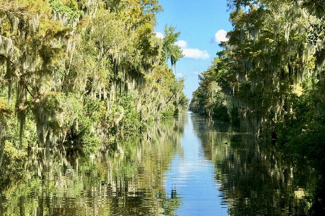 Guided Boat Tour of New Orleans Bayou - Planning Your Weather: Cold Snaps Change the Whole Game