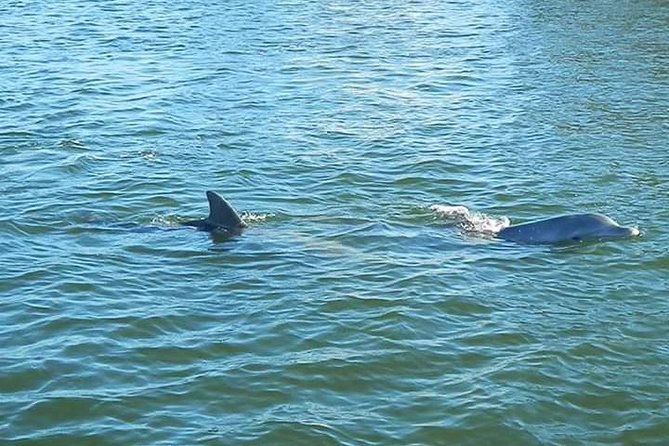 Guided Two Hour Boat Tour of the Indian River Lagoon - Two hours on the lagoon: how this Banana River cruise plays out