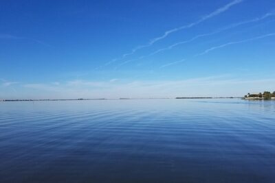 Guided Two Hour Boat Tour of the Indian River Lagoon - Where to meet near Merritt Island (so you start stress-free)