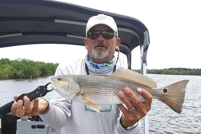 Guided Two Hour Boat Tour of the Indian River Lagoon - The captain experience: small group, big attention, and familiar names you might hear