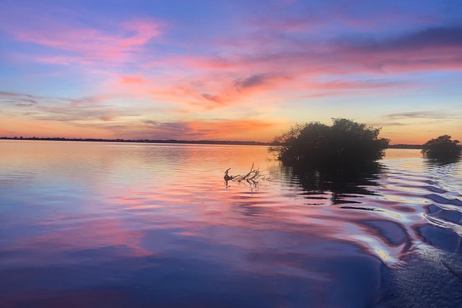 Guided Two Hour Boat Tour of the Indian River Lagoon - Wildlife expectations: how to decide if your day will be a hit