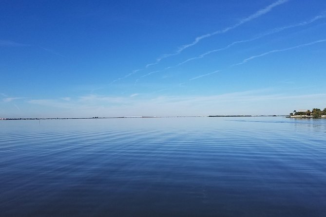 Guided Two Hour Boat Tour of the Indian River Lagoon - Where to meet near Merritt Island (so you start stress-free)