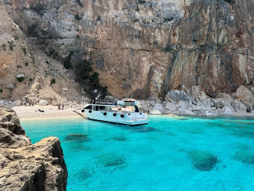 Gulf of Orosei: Grotta del Bue Marino & Cala Luna Boat Tour - Key Things You’ll Notice on This Tour