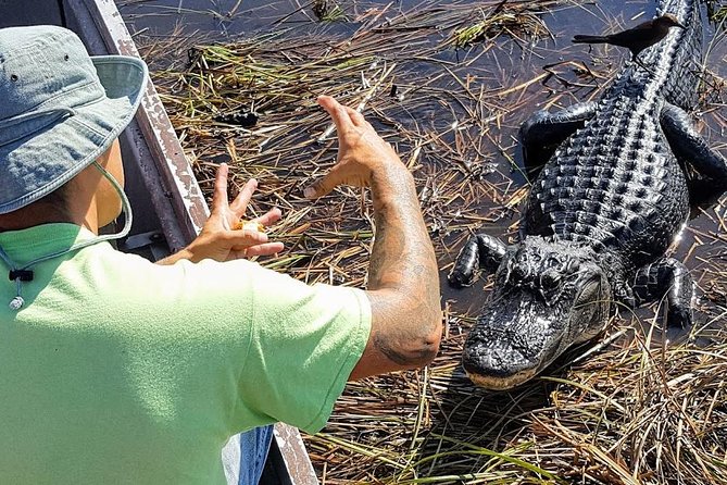 Half-day Everglades National Park Tour and 1-Hour Air Boat Ride - Miami and Fort Lauderdale Pickup: The Part That Makes or Breaks the Morning