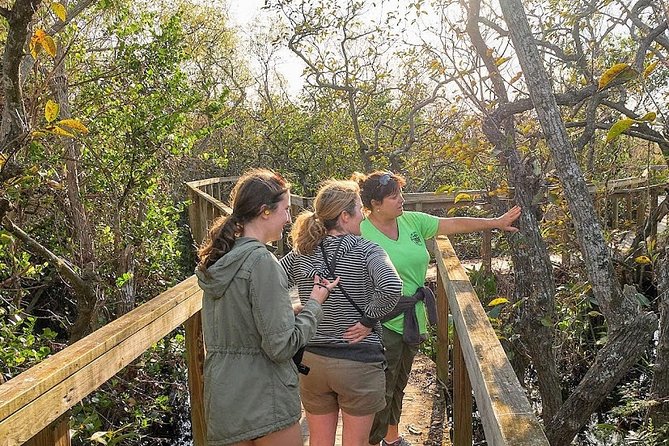 Half-day Everglades National Park Tour and 1-Hour Air Boat Ride - Miccosukee Airboat Ride: Small Boat, Far From Land