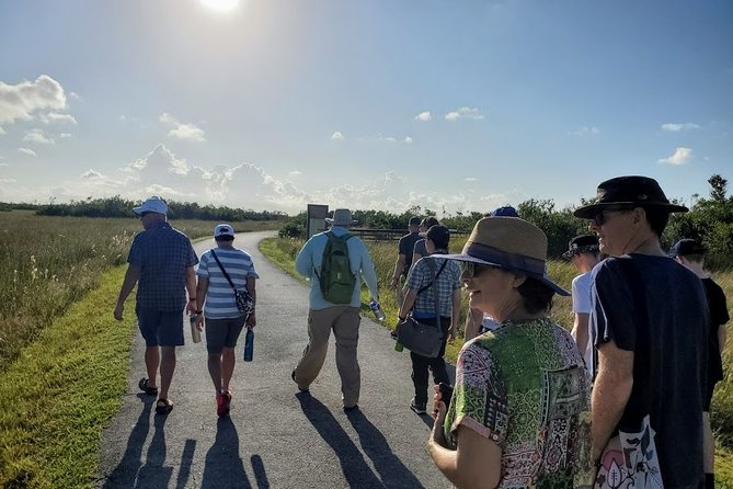 Half-day Everglades National Park Tour and 1-Hour Air Boat Ride - What You’ll See (and How to Increase Your Chances)