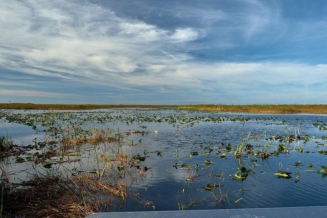 Half-day Everglades National Park Tour and 1-Hour Air Boat Ride - Price and Value: Is $189 a Fair Deal?