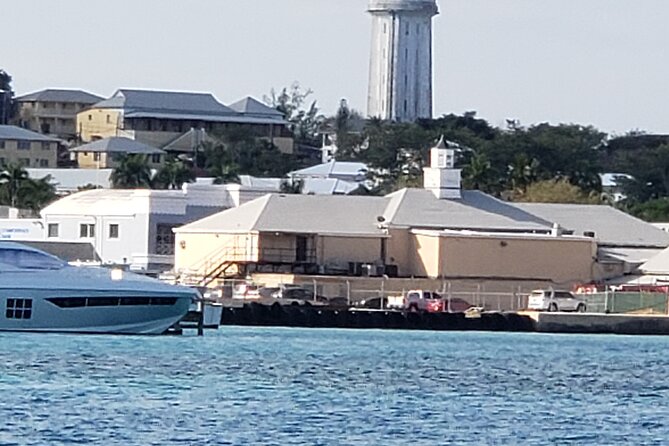 Half-Day Guided Boat Tour of Nassau Harbour and Rose Island - Should you book Pieces of 8’s Nassau and Rose Island tour?