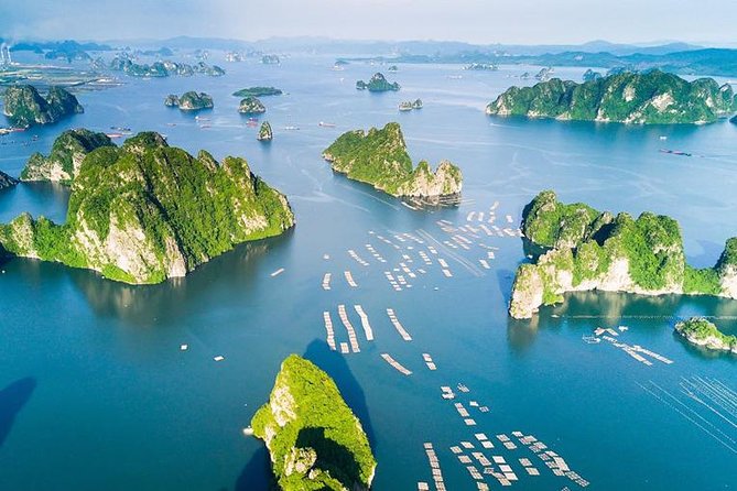 Halong 6 hours Boat tour with Cave, Kayak, lunch, transfer high-way from Hanoi - Sung Sot Cave: The Stair Workout That Makes the Bay Feel Real