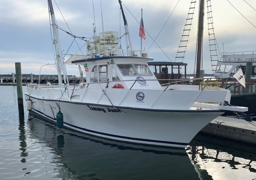 Hilton Head Island: Shrimp Trawling Boat Tour - Taking Home Carolina Shrimp: What You’ll Get (and What You Can’t)