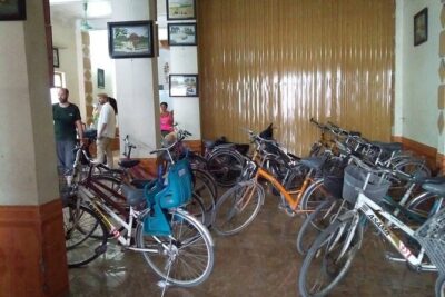 Hoa Lu - Tam Coc: Boat Trip and Bicycle Ride - Lunch in Ninh Binh: goat meat buffet and the drinks reality