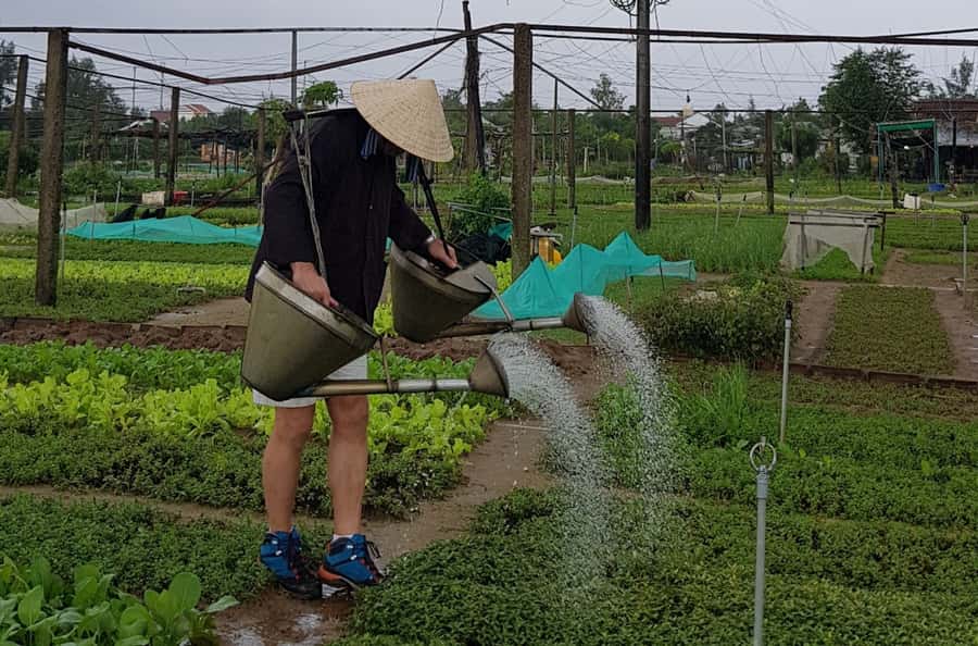 Hoi An Cooking Class With Market and Bamboo Basket Boat Tour - Getting Picked Up and Finding Your Way to the Local Market