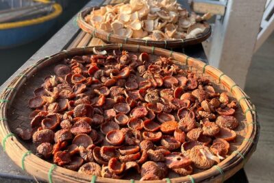 Hoi An countryside biking tour, water buffalo+ basket boat ride - Cam Thanh Coconut Village and Basket Boat Logic