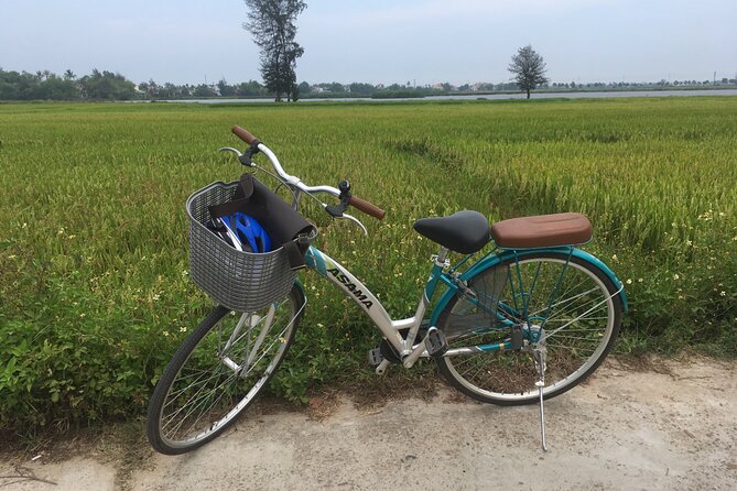 Hoi An countryside biking tour, water buffalo+ basket boat ride - What You Really Get for $31.35 (and What You Don’t)