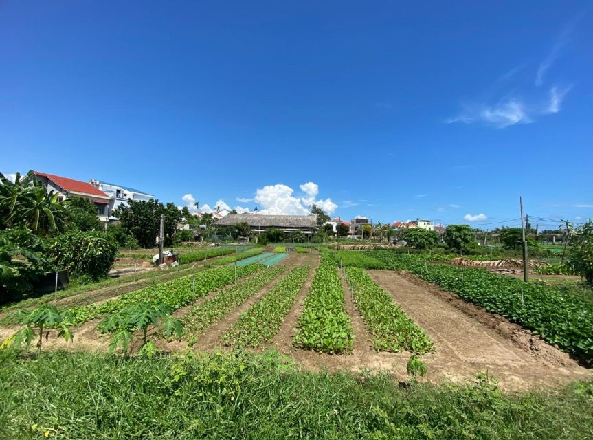 Hoi An: Rural Cycling Tour to Village with Basket Boat Ride - Why This Hoi An Bike-and-Boat Tour Feels So Local