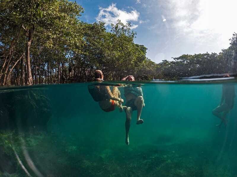 Holbox: Yum Balam Reserve Classic Boat Tour - Yalahau freshwater spring and cenote entry: when you want to actually swim