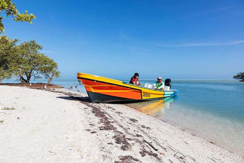 Holbox: Yum Balam Reserve Classic Boat Tour - Guides and group size: small boats, big attention
