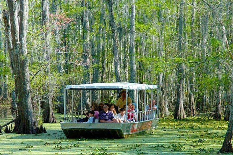 Honey Island Swamp and Bayou Boat Tour with Transportation - Weather, Clothing, and the Simple Packing List That Makes It Better