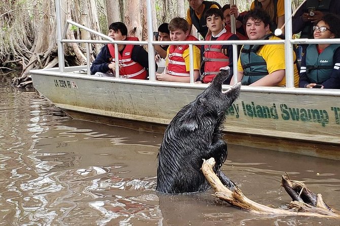 Honey Island Swamp Boat Tour - All-Weather Operations: What to Wear and How to Stay Comfortable