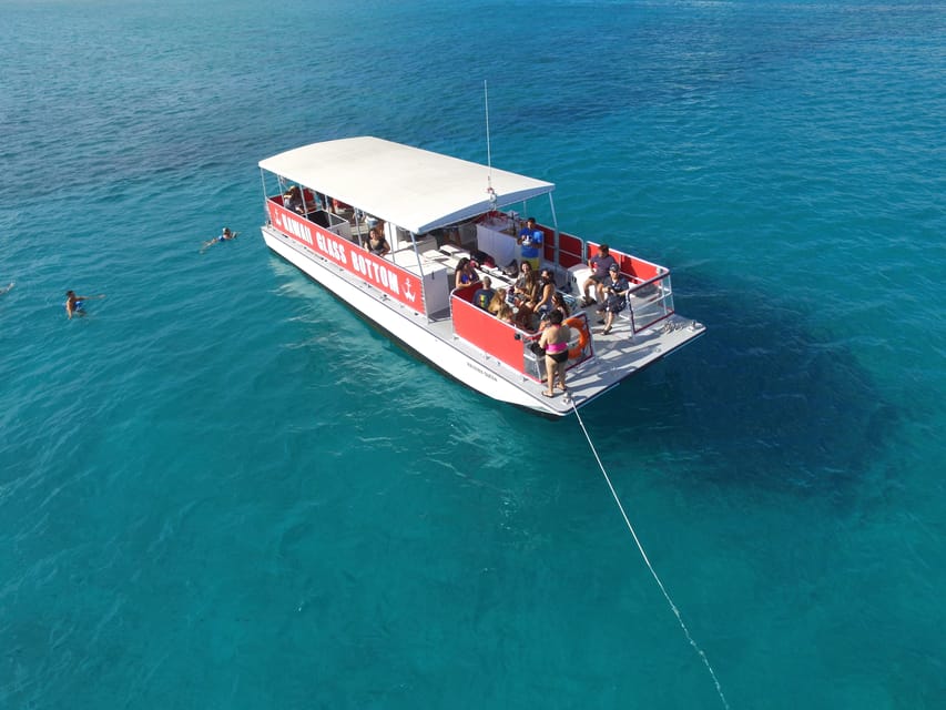 Honolulu: Glass Bottom Boat Tour along Oahu's South Shore - Sea life encounters: turtles, dolphins, and what might surprise you