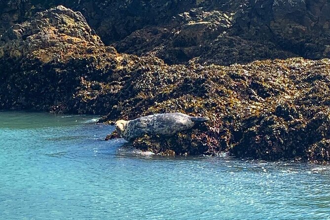 Howth Cliffs and Ireland's Eye Ferry Boat Tour - Howth Cliffs and Ireland’s Eye: the idea in plain terms