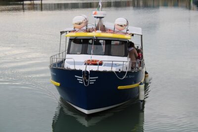Howth Cliffs and Ireland's Eye Ferry Boat Tour - Meeting at Howth’s pier: the quickest way to start