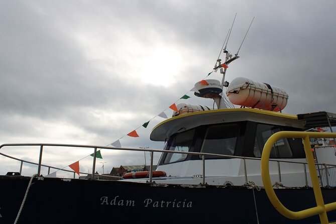 Howth Cliffs and Ireland's Eye Ferry Boat Tour - Captain Mark’s narration style (and why it matters)