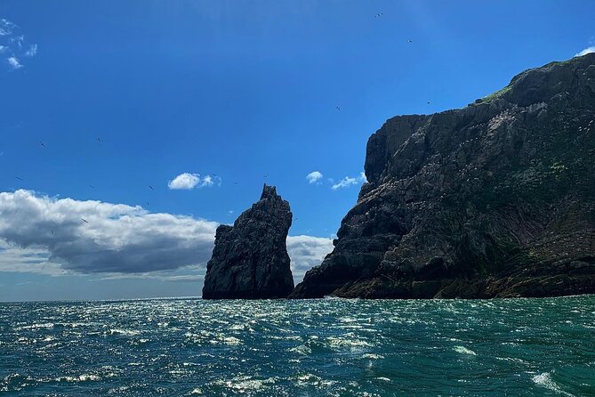 Howth Cliffs and Ireland's Eye Ferry Boat Tour - Ireland’s Eye Nature Reserve: seals, birds, and the Martello Tower view