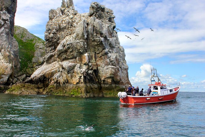 Howth Coastal Boat Tour (Ireland's Eye Ferries 50 mins trip) - Key takeaways before you go