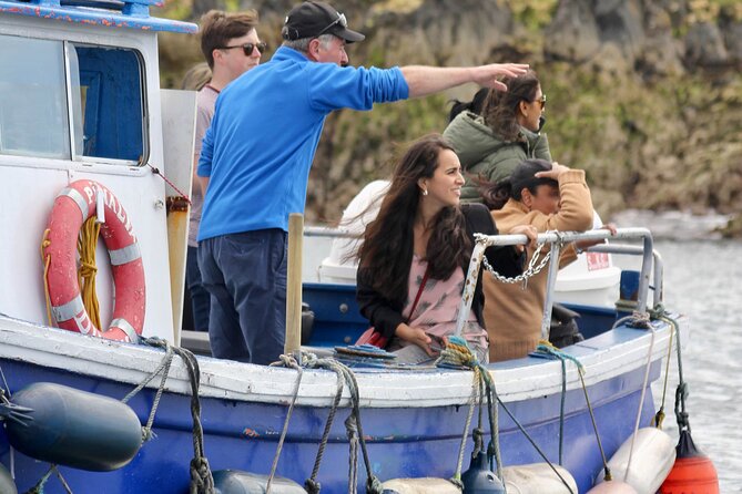 Howth Coastal Boat Tour (Ireland's Eye Ferries 50 mins trip) - How the Howth Coastal Boat Tour fits into a Dublin day