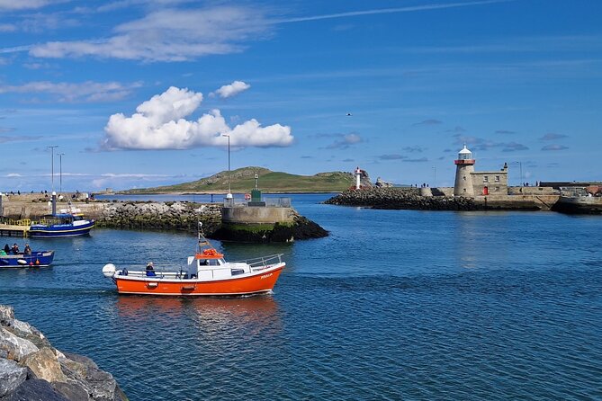 Howth Coastal Boat Tour (Ireland's Eye Ferries 50 mins trip) - Wildlife spotting that’s actually part of the schedule