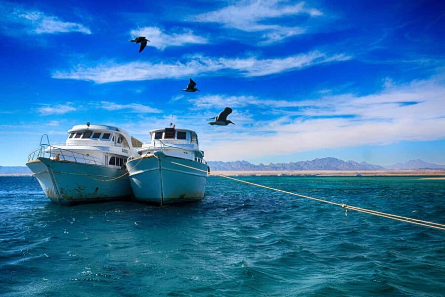 Hurghada: Beginners Scuba Diving Full-Day Boat Trip & Lunch - The Underwater Sites: Coral, Fish, and Why Everyone Sees Something Different