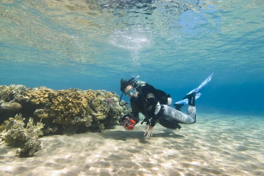 Hurghada: Beginners Scuba Diving Full-Day Boat Trip & Lunch - Price and Value: Is $30 a Good Deal for First-Time Scuba?