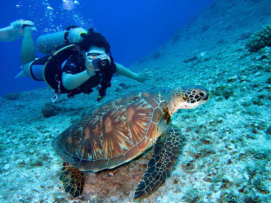 Hurghada: Beginners Scuba Diving Full-Day Boat Trip & Lunch - Who This Tour Suits Best (And Who Should Skip It)