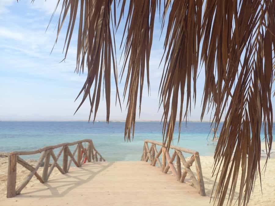 Hurghada: Boat trip to Magawish island with Multi Options - Key things I’d focus on before you go