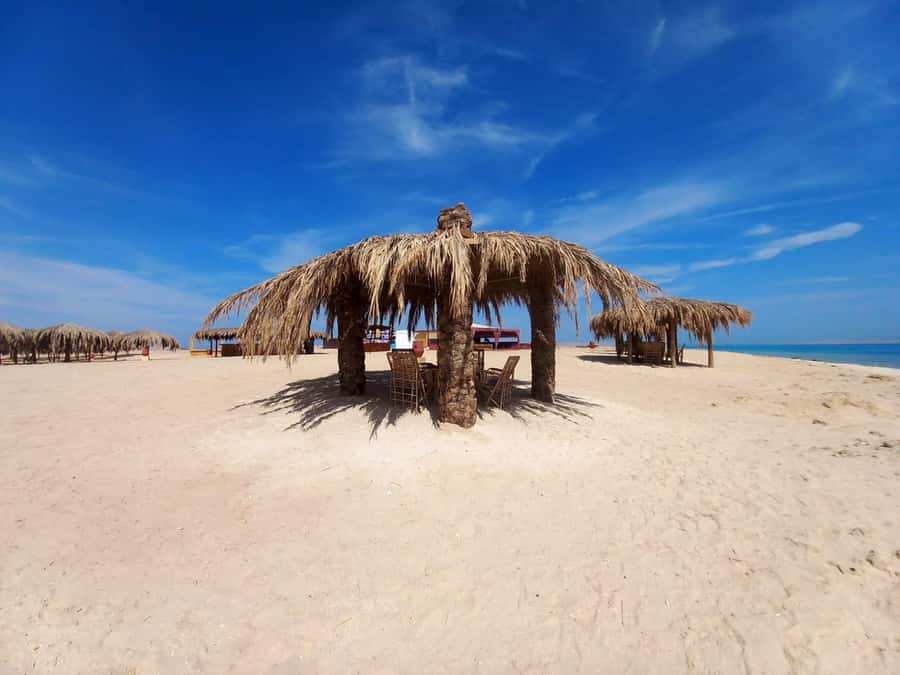 Hurghada: Boat trip to Magawish island with Multi Options - Why Magawish is a smart full-day choice from Hurghada