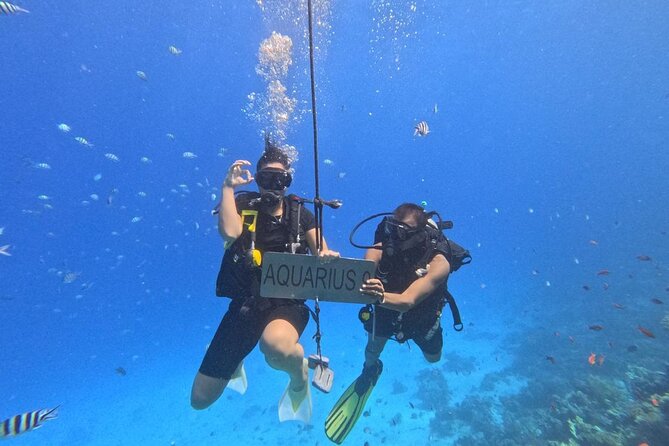 Hurghada Diving Adventure one Day with two Dives Boat Trip - Equipment and Extra Fees: The One Place This Trip Can Surprise You