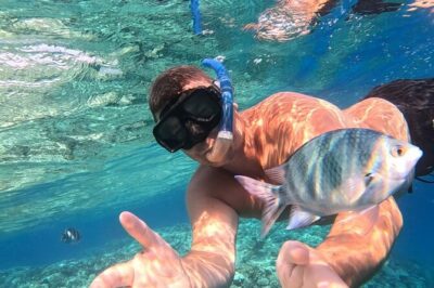 Hurghada Diving Adventure one Day with two Dives Boat Trip - What’s Included on Board (Lunch, Drinks, Guide): Why It Matters