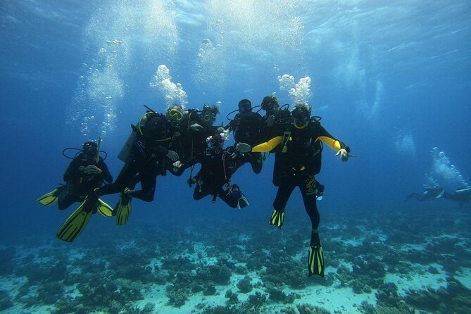Hurghada Diving Adventure one Day with two Dives Boat Trip - Two Underwater Stops With Expert Guides: How to Think About the Value