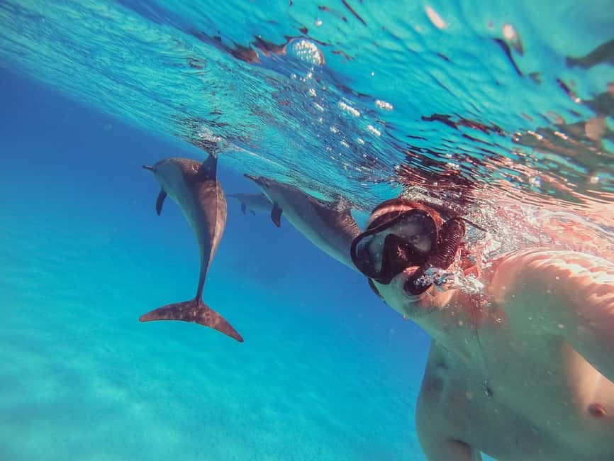Hurghada: Dolphin Watching Boat Tour with Snorkeling & Lunch - Hurghada to the Open Sea: Timing and Where You Actually Go
