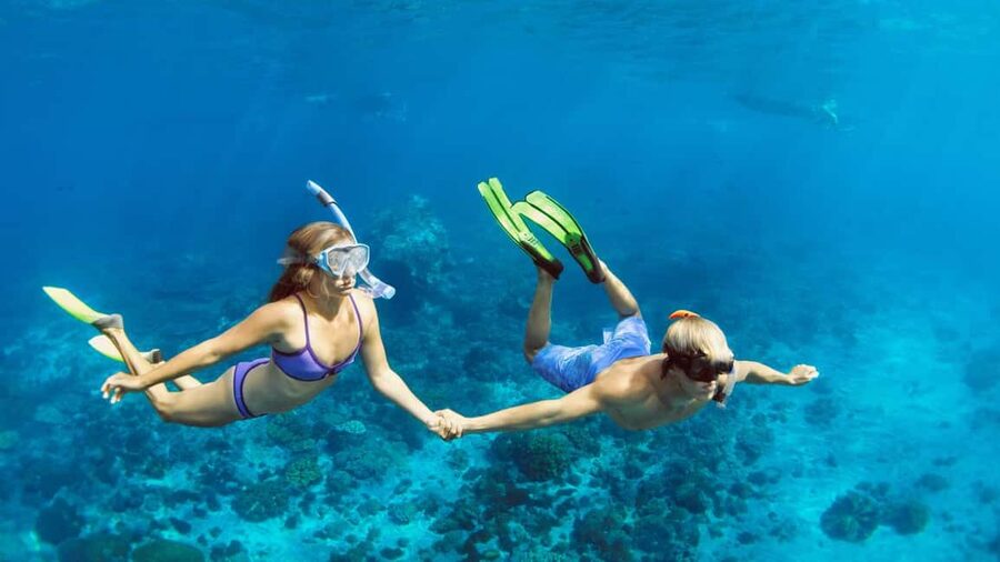 Hurghada: Dolphin Watching Boat Tour with Snorkeling & Lunch - Price and Value: Why $25 Feels Reasonable Here