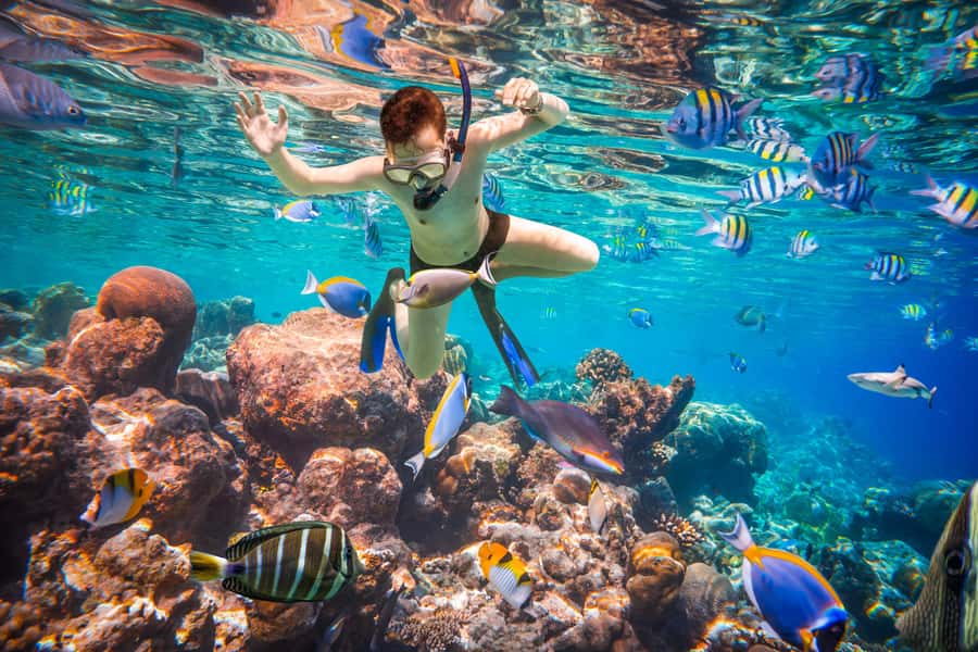 Hurghada: Orange Bay Island Boat Trip w/ Breakfast and Lunch - Price and Value for $34: What You Get for the Money