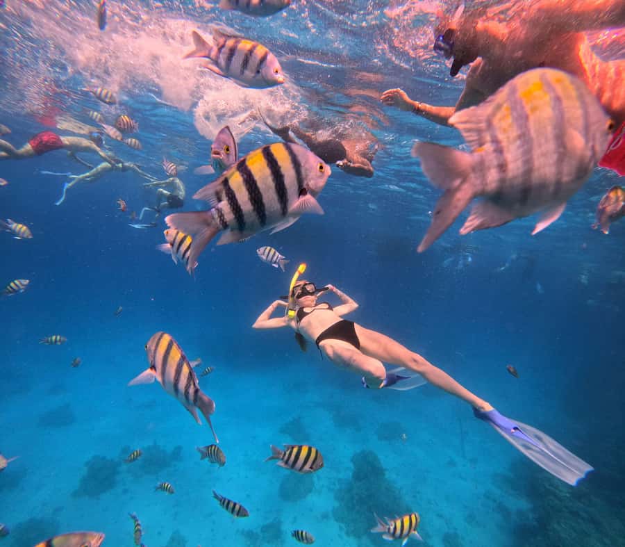 Hurghada: Orange Bay Island Boat Trip w/ Breakfast and Lunch - What to Bring and What to Skip