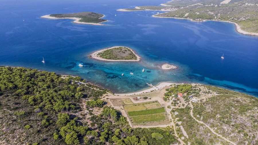 Hvar: Blue and Green Caves Boat Tour with Stiniva Beach - Palmizana Bay Finish: Chill Time and a Real Meal Option