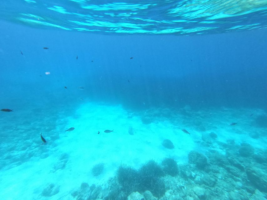 Hvar: Private Sailing Boat Trip with Swimming and Snorkeling - How long should you book: 2 to 8 hours without the buyer’s remorse